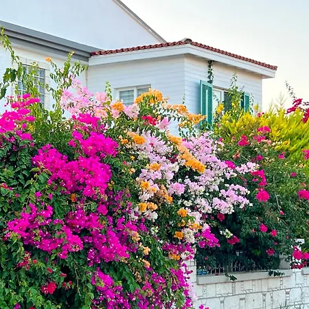 فندق Alacati Xl Luxury Çeşme