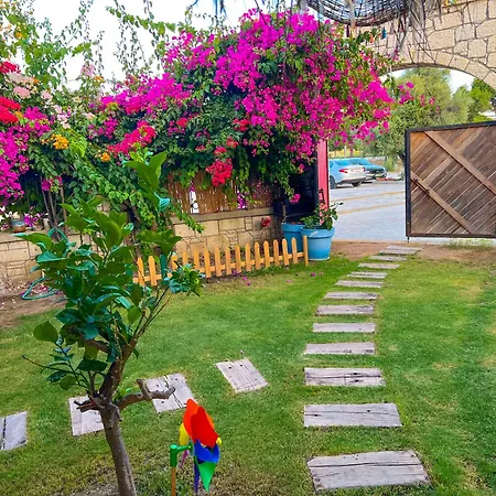 Alacati Xl Luxury فندق *