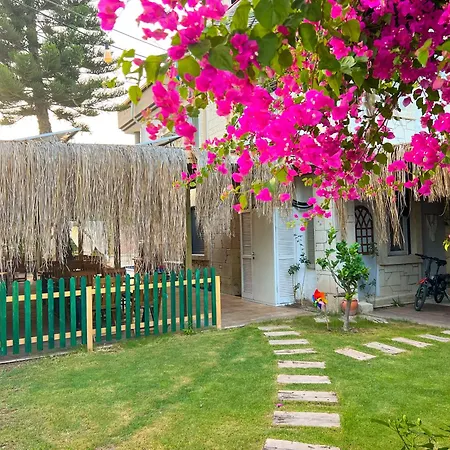 Alacati Xl Luxury فندق Çeşme